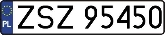 ZSZ95450