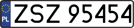 ZSZ95454
