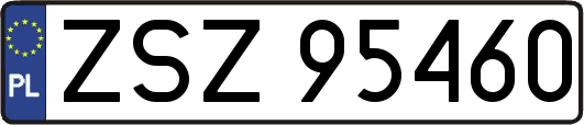 ZSZ95460