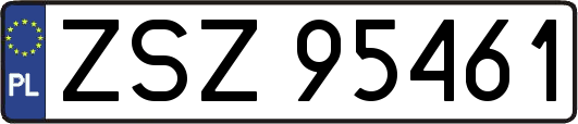 ZSZ95461