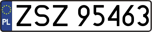 ZSZ95463