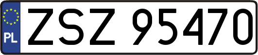 ZSZ95470