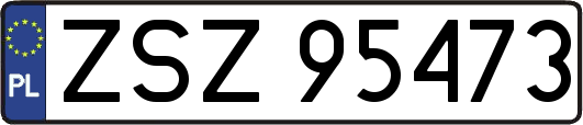 ZSZ95473