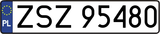 ZSZ95480