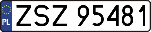 ZSZ95481