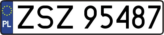 ZSZ95487