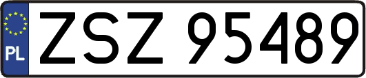 ZSZ95489