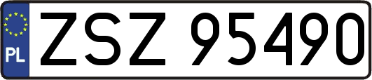ZSZ95490