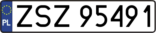 ZSZ95491