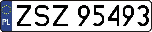 ZSZ95493