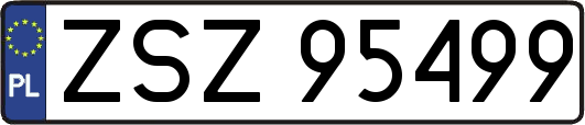 ZSZ95499