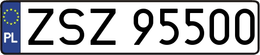ZSZ95500