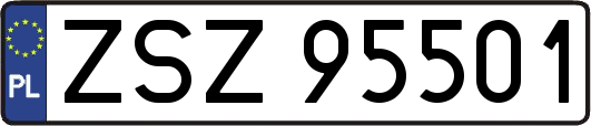 ZSZ95501
