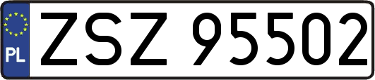 ZSZ95502