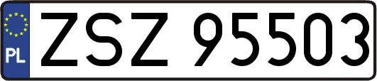 ZSZ95503