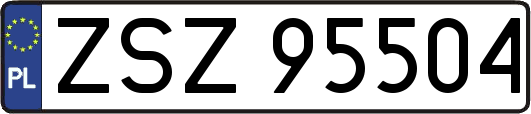 ZSZ95504