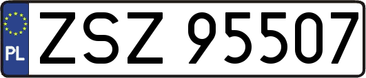 ZSZ95507