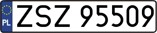 ZSZ95509