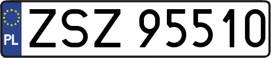 ZSZ95510