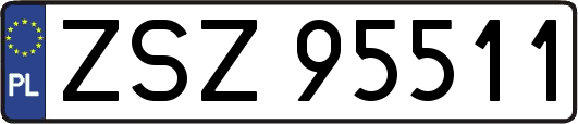 ZSZ95511