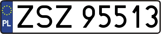 ZSZ95513