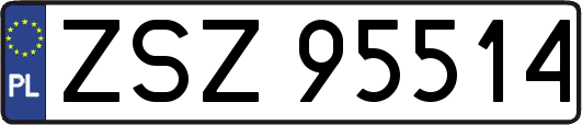 ZSZ95514