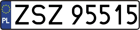 ZSZ95515
