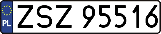 ZSZ95516