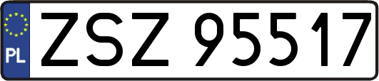 ZSZ95517
