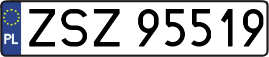 ZSZ95519