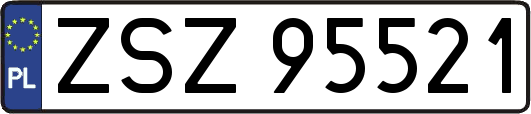 ZSZ95521