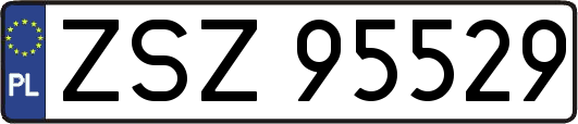 ZSZ95529