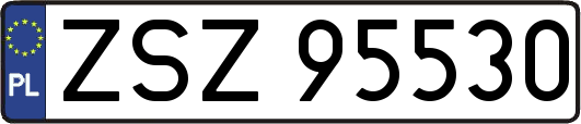 ZSZ95530