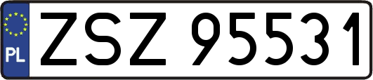 ZSZ95531