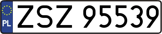 ZSZ95539