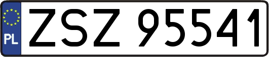 ZSZ95541