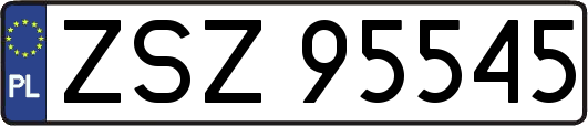 ZSZ95545