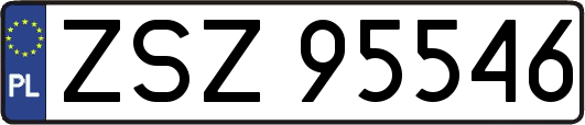 ZSZ95546