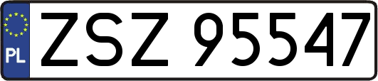 ZSZ95547