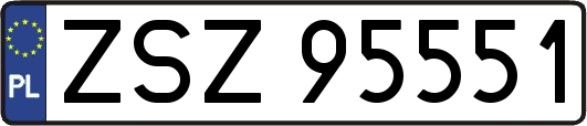 ZSZ95551