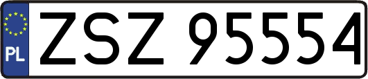 ZSZ95554