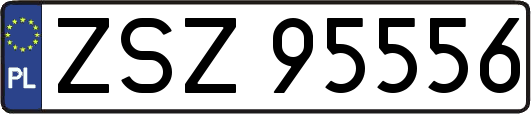 ZSZ95556