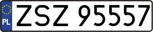 ZSZ95557