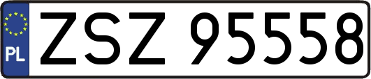 ZSZ95558