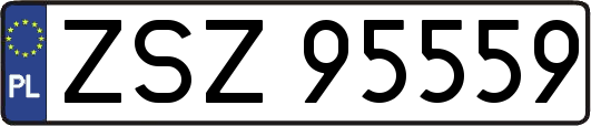 ZSZ95559