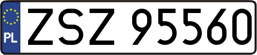 ZSZ95560