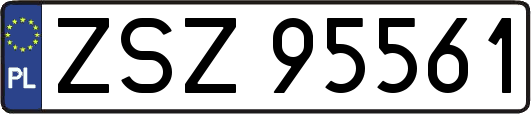 ZSZ95561
