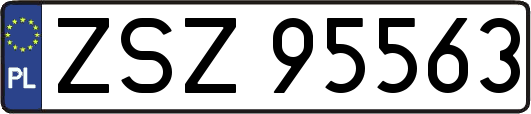 ZSZ95563