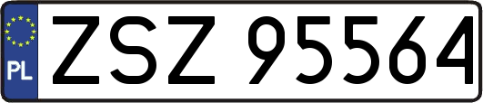ZSZ95564