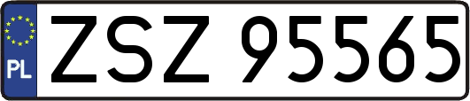 ZSZ95565